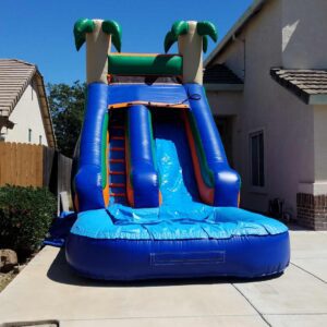 Inflatable water slide with palm trees set up in a driveway under a clear blue sky.